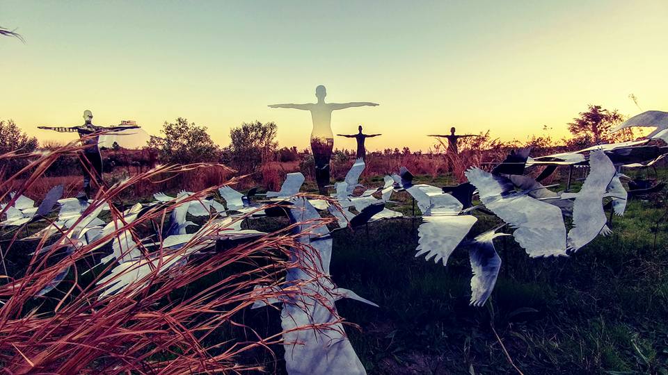 Flock of Birds Art Installation at Paradise Creek