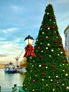 Elizabeth River Ferry at High Street Landing