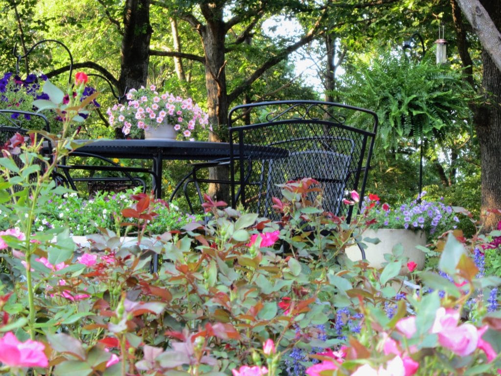 Flowers with rod iron furniture