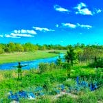 Stainless Steel reflective images of man and birds in nature