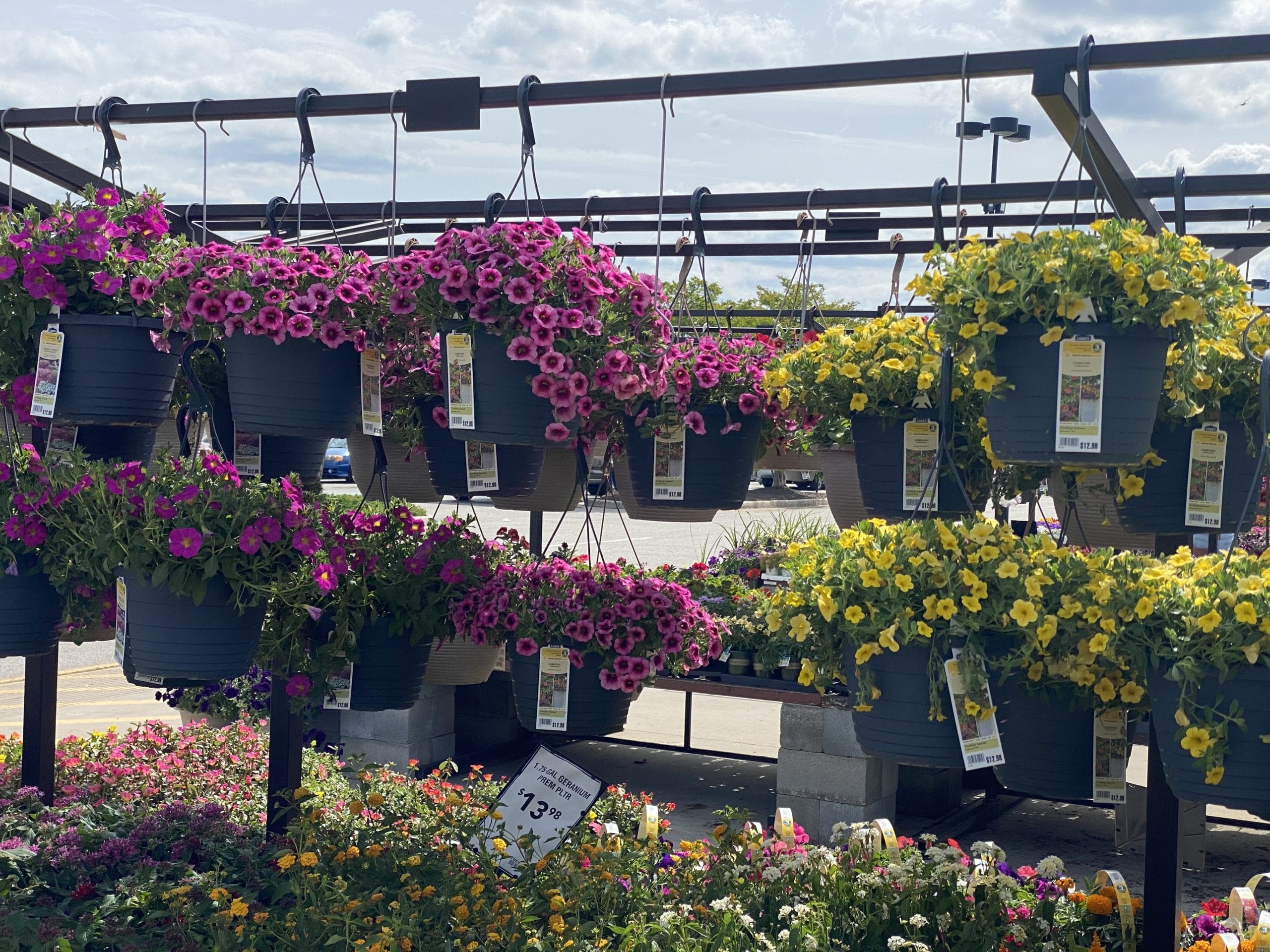 Hanging plants at Lowes Garden Shop in Portsmouth