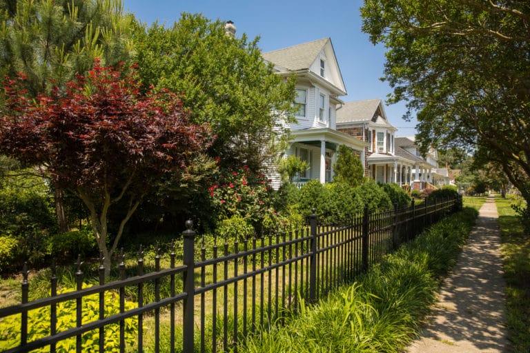 Lush greenery along the street in the Port Norfolk Historic District in Portsmouth, Virginia Lush greenery along the street in the Port Norfolk Historic District in Portsmouth, Virginia