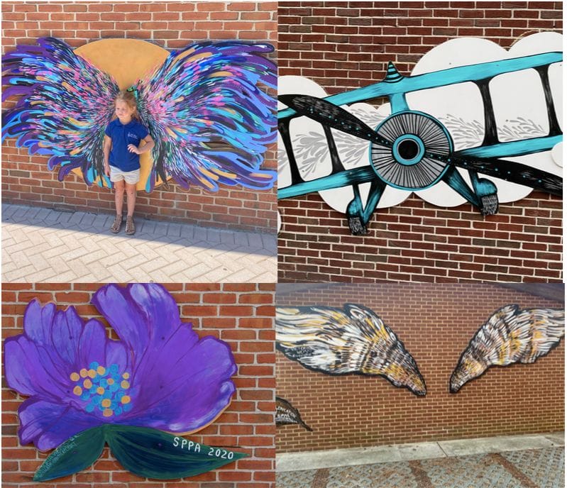 wings in montage - hummingbird, biplane and owl