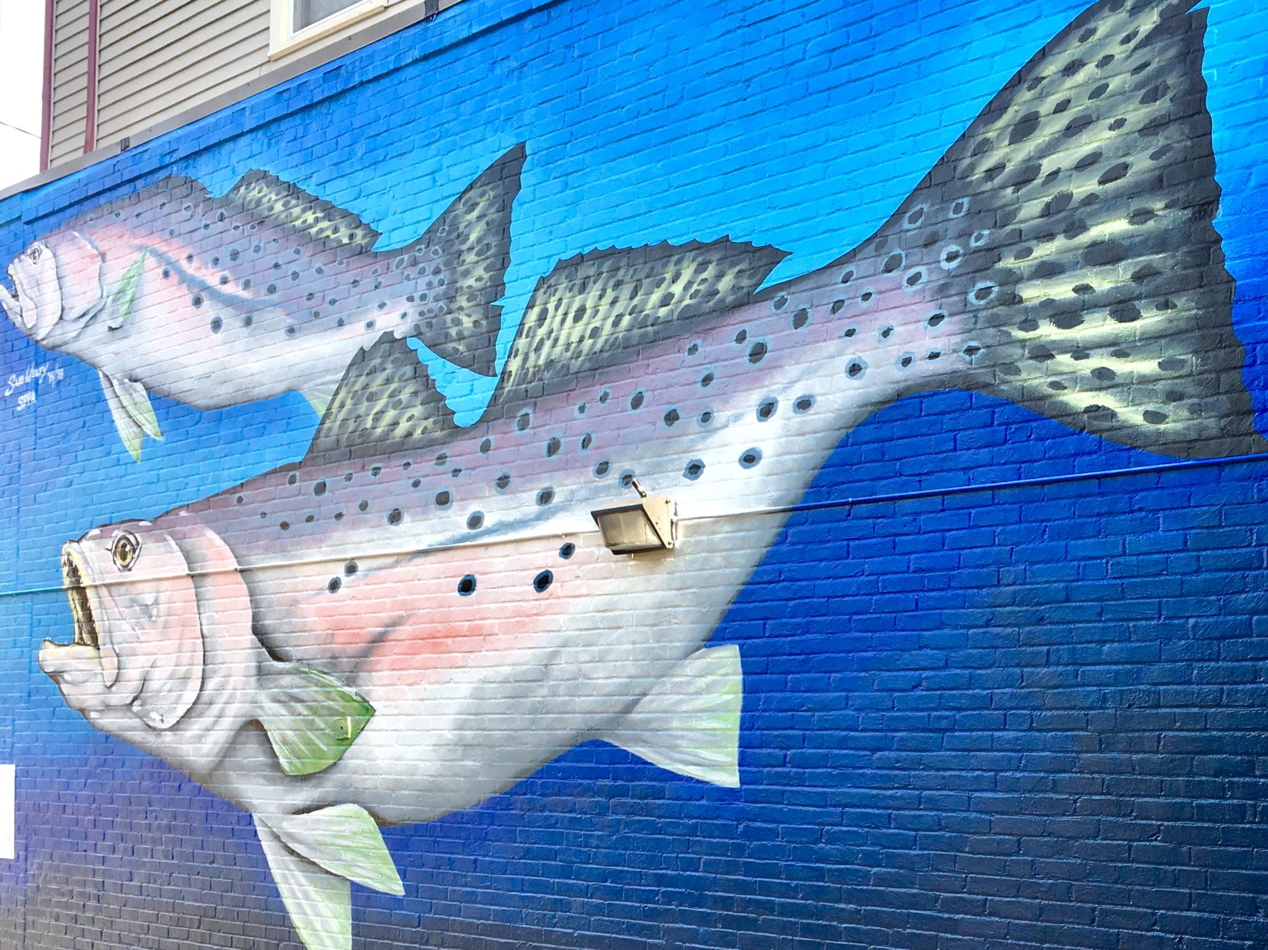 Speckled Trout Mural by Sam Welty