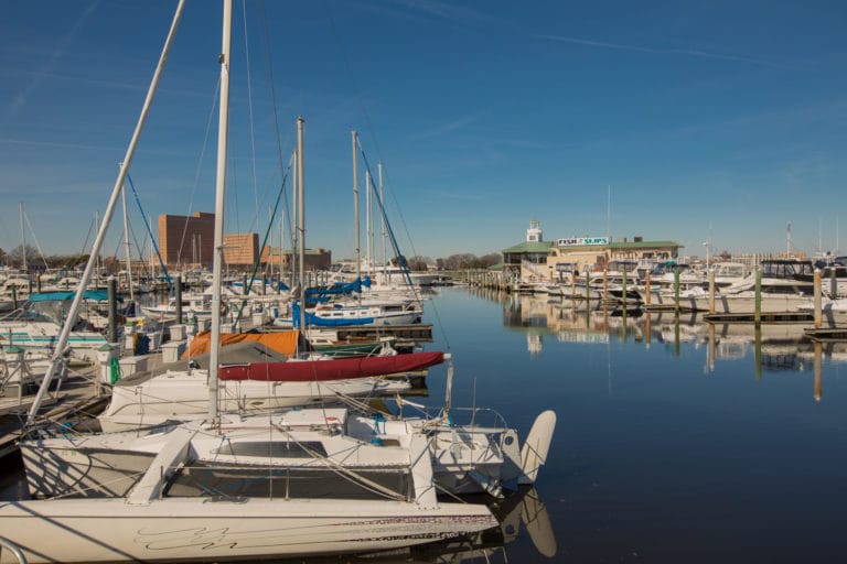 Two rows of boats docked at Tidewater Yacht Marina in Portsmouth, Virginia.