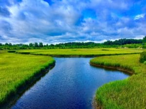 Paradise Creek March