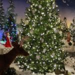 Christmas tree in Winter Wonderland exhibit