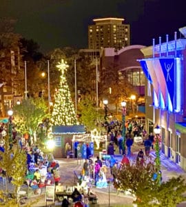 Middle Street Mall with Crafters and Lit Christmas Tree