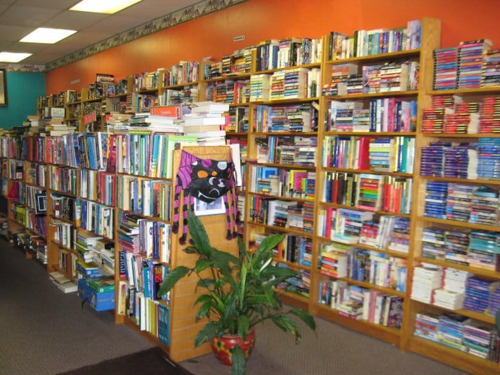 The Book Owl interior