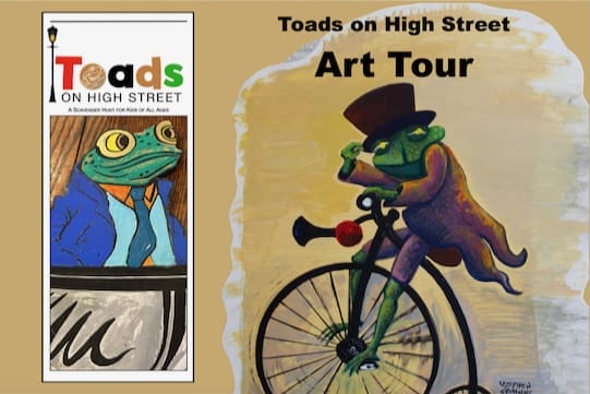 Toad brochure cover